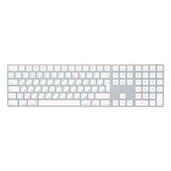 Näppäimistö Apple Magic Keyboard (ENG) hinta ja tiedot | Näppäimistöt | hobbyhall.fi